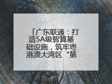 广东联通：打造5A级智算基础设施，筑牢粤港澳大湾区“第一算力引擎”