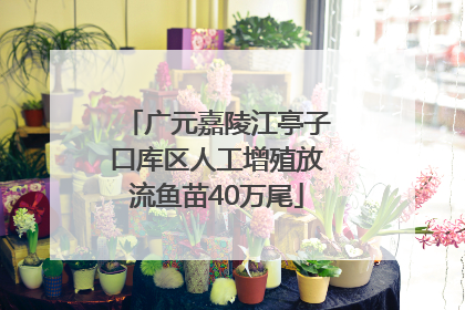 广元嘉陵江亭子口库区人工增殖放流鱼苗40万尾