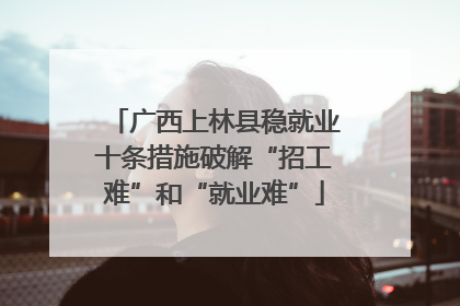 广西上林县稳就业十条措施破解“招工难”和“就业难”