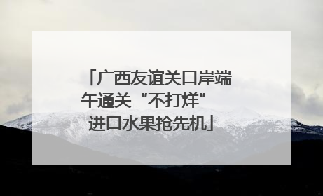 广西友谊关口岸端午通关“不打烊” 进口水果抢先机