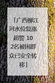 广西柳江河水位复涨超警 102名被困群众已安全转移