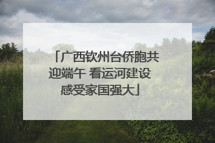 广西钦州台侨胞共迎端午 看运河建设感受家国强大