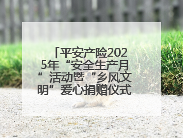 平安产险2025年“安全生产月”活动暨“乡风文明”爱心捐赠仪式在菏泽单县举行