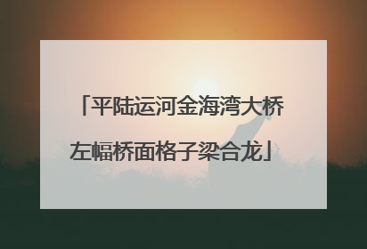 平陆运河金海湾大桥左幅桥面格子梁合龙
