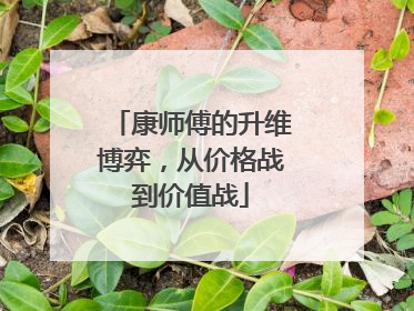 康师傅的升维博弈，从价格战到价值战