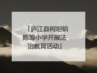 庐江县柯坦镇陈埠小学开展法治教育活动