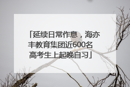 延续日常作息，海亦丰教育集团近600名高考生上起晚自习