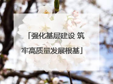 强化基层建设 筑牢高质量发展根基