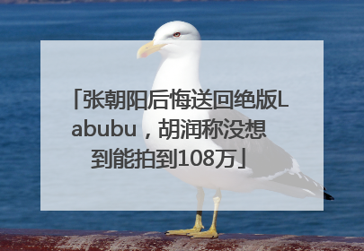 张朝阳后悔送回绝版Labubu，胡润称没想到能拍到108万