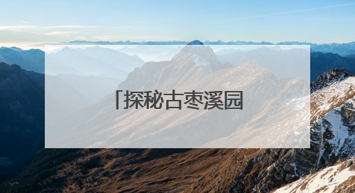 探秘古枣溪园，共赏东塔镇长枣产业风华