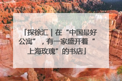 探徐汇｜在“中国最好公寓”，有一家盛开着“上海玫瑰”的书店