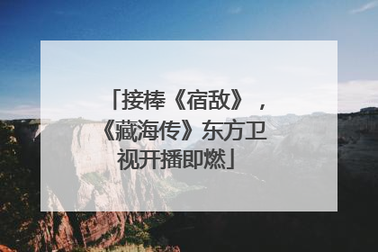 接棒《宿敌》，《藏海传》东方卫视开播即燃