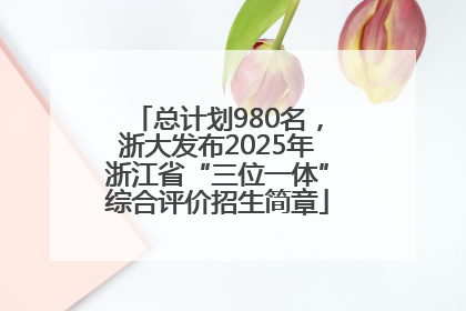总计划980名，浙大发布2025年浙江省“三位一体”综合评价招生简章