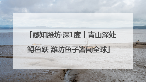 感知潍坊·深1度丨青山深处鲟鱼跃 潍坊鱼子酱闯全球