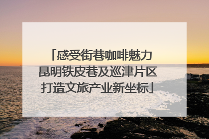 感受街巷咖啡魅力 昆明铁皮巷及巡津片区打造文旅产业新坐标