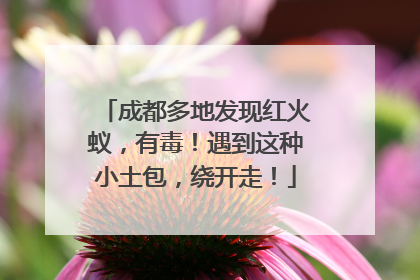 成都多地发现红火蚁，有毒！遇到这种小土包，绕开走！