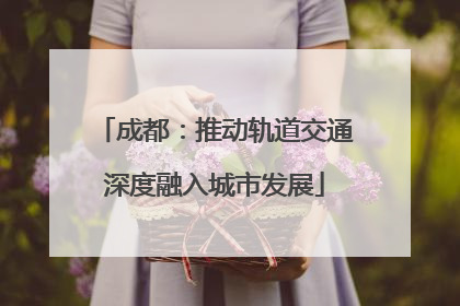 成都：推动轨道交通深度融入城市发展