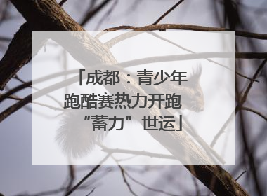 成都：青少年跑酷赛热力开跑“蓄力”世运