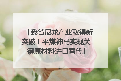 我省尼龙产业取得新突破！平煤神马实现关键原材料进口替代