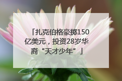 扎克伯格豪掷150亿美元，投资28岁华裔“天才少年”