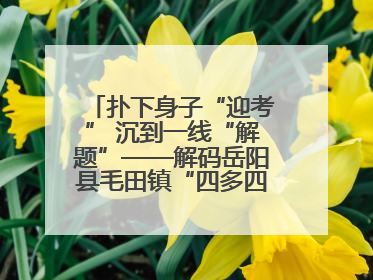 扑下身子“迎考” 沉到一线“解题”——解码岳阳县毛田镇“四多四好”工作法
