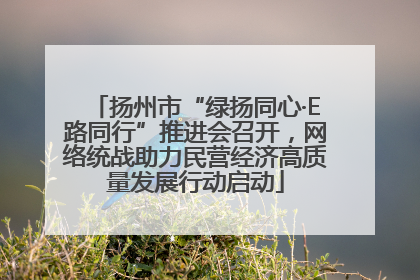 扬州市“绿扬同心·E路同行”推进会召开，网络统战助力民营经济高质量发展行动启动