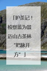 护茶记！检察蓝为景迈山古茶林 “把脉开方”