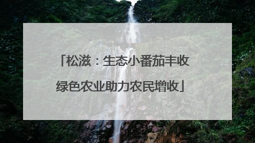 松滋：生态小番茄丰收 绿色农业助力农民增收