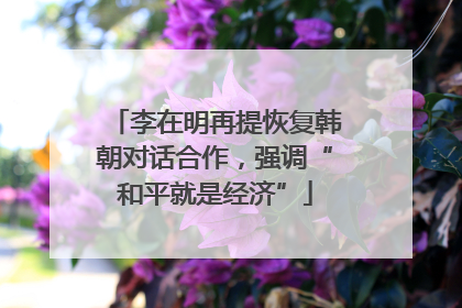 李在明再提恢复韩朝对话合作，强调“和平就是经济”