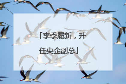 李季履新，升任央企副总