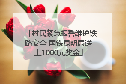 村民紧急报警维护铁路安全 国铁昆明局送上1000元奖金