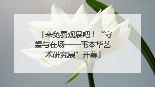 来免费观展吧！“守望与在场——毛本华艺术研究展”开幕