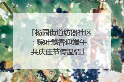 杨园街道纺器社区：粽叶飘香迎端午 共庆佳节传温情