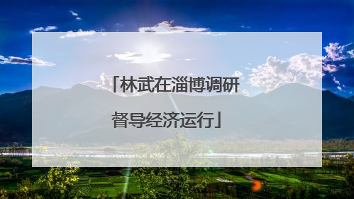 林武在淄博调研督导经济运行
