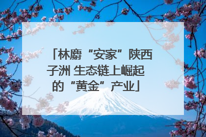 林麝“安家”陕西子洲 生态链上崛起的“黄金”产业