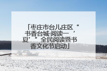 枣庄市台儿庄区“书香台城·阅读一‘夏’”全民阅读暨书香文化节启动