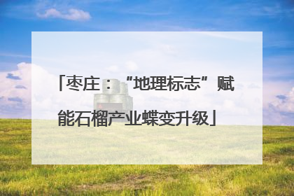 枣庄：“地理标志”赋能石榴产业蝶变升级