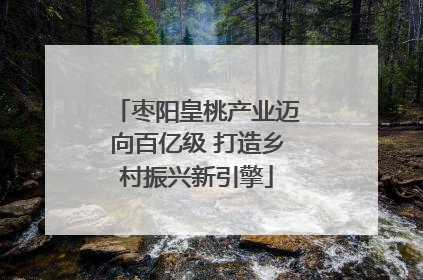 枣阳皇桃产业迈向百亿级 打造乡村振兴新引擎