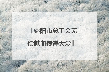 枣阳市总工会无偿献血传递大爱