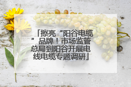 擦亮“阳谷电缆”品牌！市场监管总局到阳谷开展电线电缆专题调研