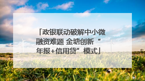 政银联动破解中小微融资难题 金塘创新“年报+信用贷”模式