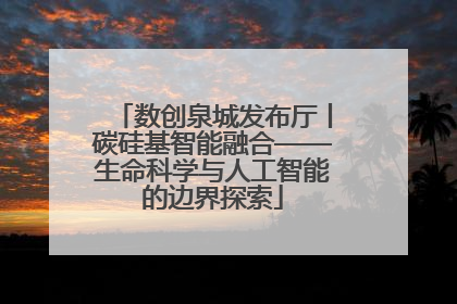 数创泉城发布厅丨碳硅基智能融合——生命科学与人工智能的边界探索