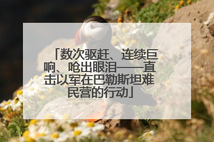 数次驱赶、连续巨响、呛出眼泪——直击以军在巴勒斯坦难民营的行动