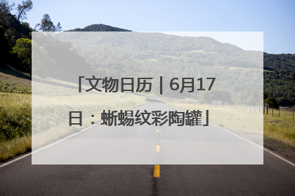 文物日历｜6月17日：蜥蜴纹彩陶罐