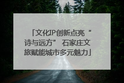 文化IP创新点亮“诗与远方” 石家庄文旅赋能城市多元魅力