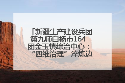 新疆生产建设兵团第九师白杨市164团金玉镇综治中心：“四维治理”淬炼边疆“枫桥样本”