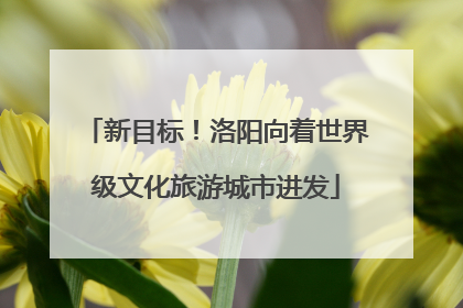 新目标！洛阳向着世界级文化旅游城市进发