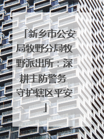 新乡市公安局牧野分局牧野派出所：深耕主防警务 守护辖区平安