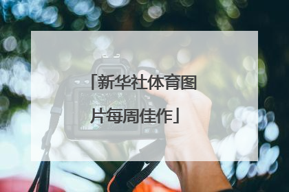 新华社体育图片每周佳作