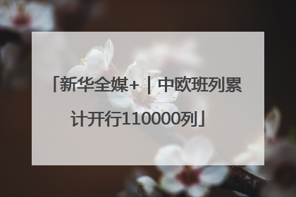 新华全媒+｜中欧班列累计开行110000列